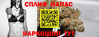 прущие грибы Шахты