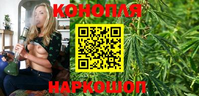 прущие грибы Шахты
