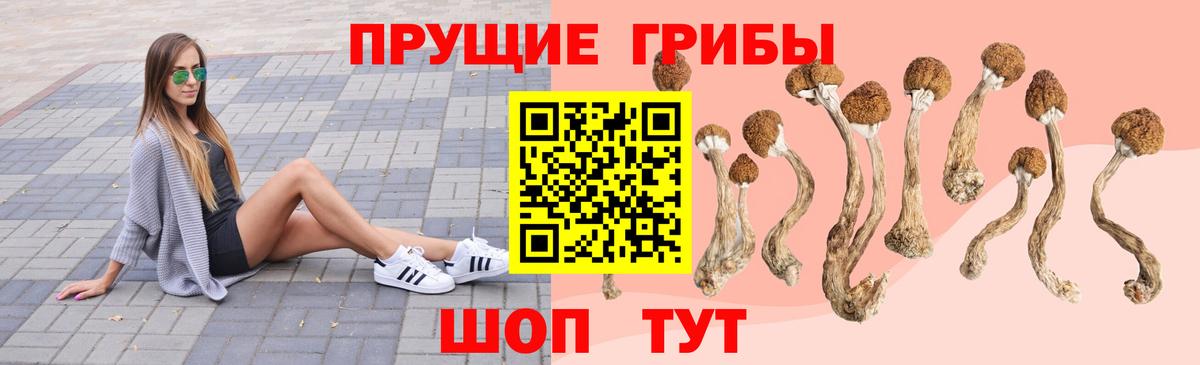Псилоцибиновые грибы ЛСД  Вход с VPN  Жигулёвск 